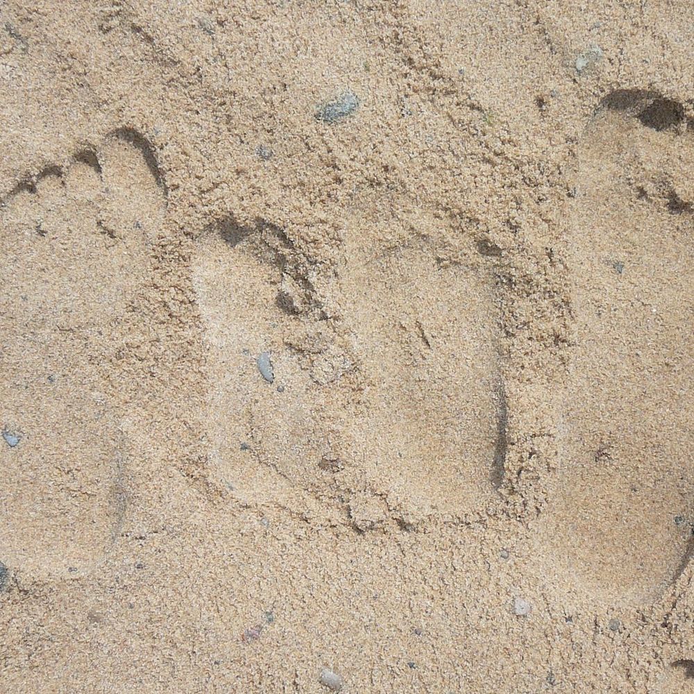 Meet your Posher, Pam